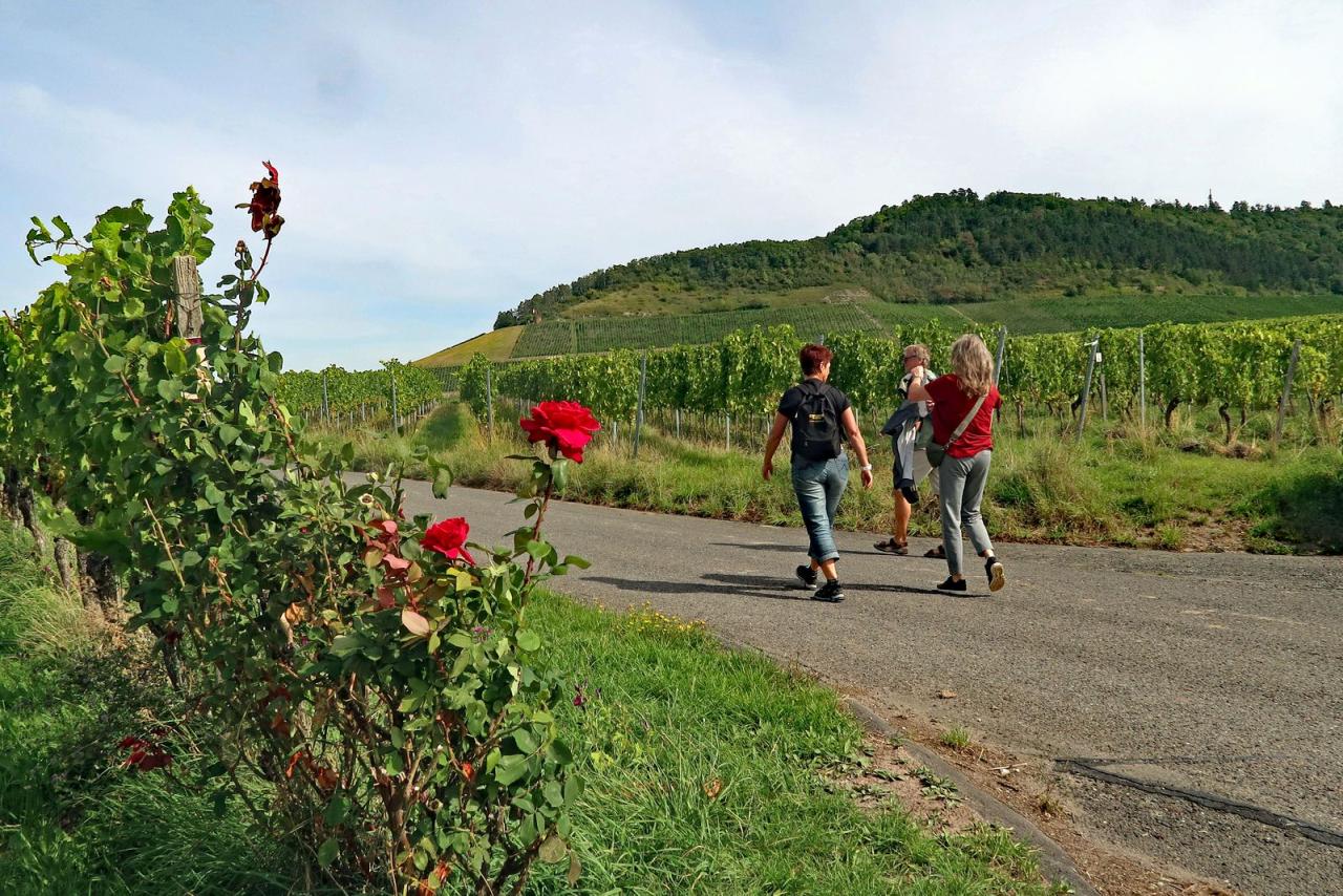 Badminton-Weinwanderung 2025